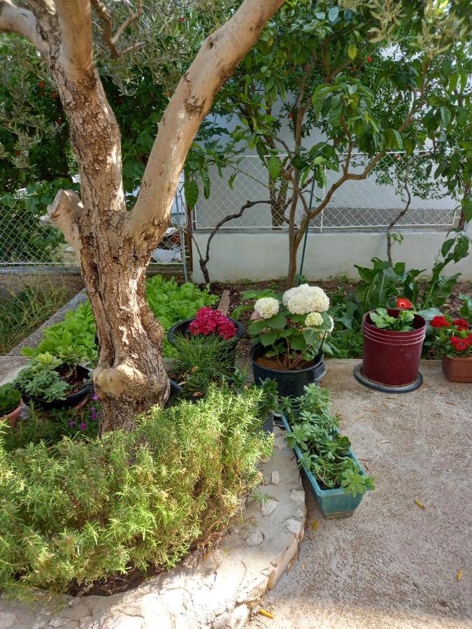 Apartments Sunag Šibenik Eksteriør bilde